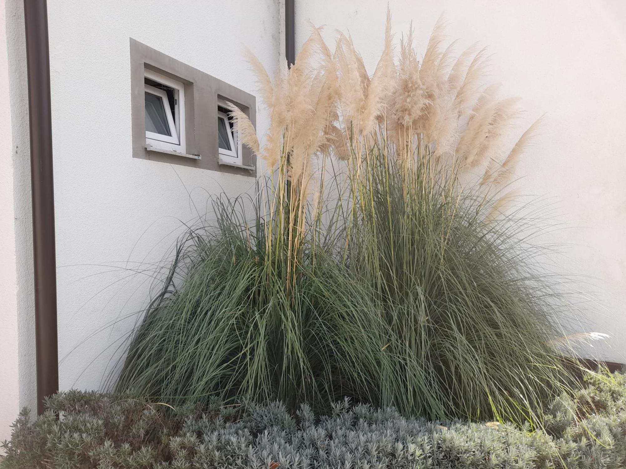 Opatovina Apartamento Topusko Exterior foto